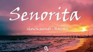 Senorita(lyric)