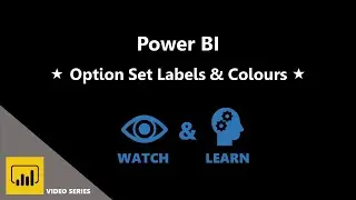 1. Option Set Labels & Colours - Using Power BI to Create Visual Overview of Customers