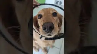 Большой и мягкий носик 