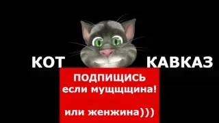 Кот Кавказ   Три в одном 8
