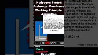 ELECTROLYSIS Animation Working #greenenergy #hydrogen #renewableenergy #climatechange #fuelcell