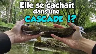 Cette BELLE TRUITE NOIR était ici !? (Pêche au vairon manié)