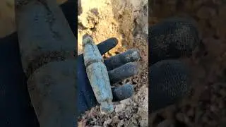 What is this? 