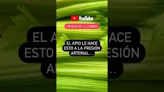 EL APIO LE HACE ESTO A LA PRESIÓN ARTERIAL… #cienciadelacomida #apio #salud