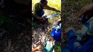 Quick Chainsaw Repair Tips | Fix Your Chainsaw Fast! 🔧🪓