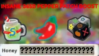 (SOLO SCORCH) INSANE 365B PEPPER PATCH BOOST (Bee Swarm Simulator)