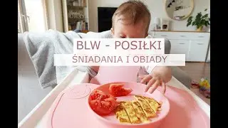 BLW pierwsze posiłki | śniadania obiady 7-8 miesięcy