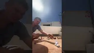 Лорд Шэнь и его злодеи против Сонника и его друзей 6