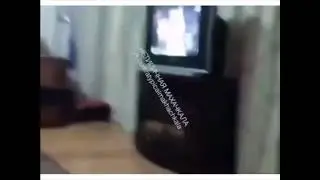 Фанаты Хабиба при просмотре боя!