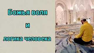 Божья воля. Логика человека.