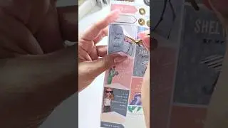 #monthlyplanner #trackingexpenses  #weeklybudget #budgetstickers  #stickers #howto #quedema