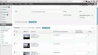 Awesome Photo Gallery In Wordpress