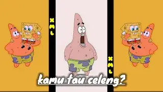 PRESET AM KATA KATA KAMU TAU CELENG?