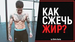Как СЖЕЧЬ ЖИР | Крис Херия