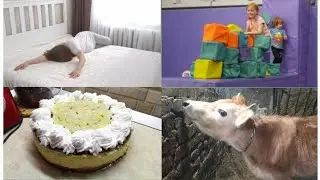СУМАСШЕДШАЯ НЕДЕЛЯ...🤰🙈🎂🐄🐖🐓🐈‍⬛🌨️🎄