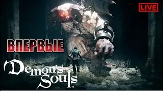 Demon’s Souls#2 - Где первый БОСС?