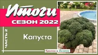 Капуста. Часть 2. Итоги сезона 2022
