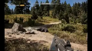 СТРИМ ИГРАЕМ В FAR CRY 5 ПРОХОЖДЕНИЕ ЧАСТЬ 2