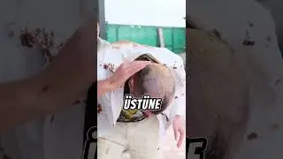 Ömer iyi çocuktu ama bir kusuru vardı insanlara çok fazla güvenirdi