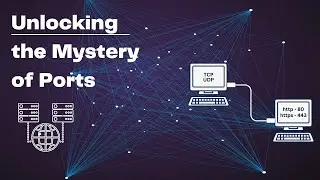 What is a Port? Understanding How Ports Work in Networking