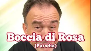 Il Ministro Sangiuliano la chiamava… Boccia di Rosa. #sangiulliano #boccia #parodia
