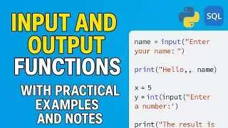 Input and output functions in python with practical examples and notes
