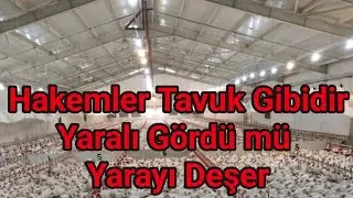 Rezaletin Mazereti Rehavet Olamaz