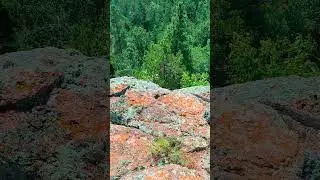 Красноярские столбы #сибирь #столбы #тайга