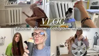 Снова крашу и лечу, убираю и кормлю. Ну, а Кира как всегда, Вику с хламом привела.