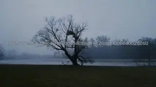 d0bbd18ed0b1d0b8d182d0b5d0bbd18c20d0bfd0b8d0b2d0b0
