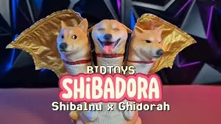 [UNBOXING] BidToys - Shibadora