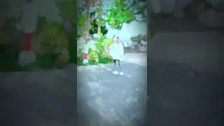 paisa viral song editing video short#editing #nikon #photography #shortvideo #youtubeshorts #paisa