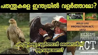 ഇന്ത്യയിൽ പരുന്തുകളെ വളർത്താമോ?Can we pet an eagle in India? SVSennumeppozhumevideyum