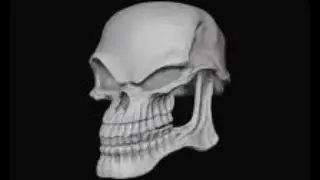 the adventures of mr skeletal