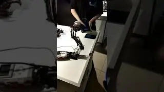 Мы в парке роботов тэсла шоу