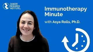 Immunotherapy Minute: Decoding the Neuro-Immune Network with CRI-ICRF Grantee Dr. Asya Rolls