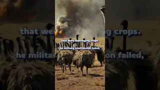 THE GREAT EMU WAR