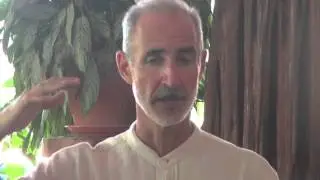 Tanglewood Wellness Center - The 7 Keys to Optimal Health - Water Fasting