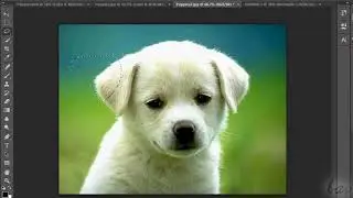 Photoshop CC   Tutorial for Beginners COMPLETE