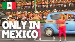 Walking Mexico City - Video Walk【4K】🇲🇽
