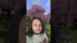 Minecraft filter #shorts
