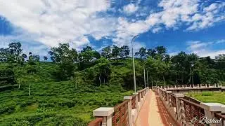 সিলেটের নতুন দৃষ্টিনন্দন পর্যটন স্পট গোয়াবাড়ি ওয়াকওয়ে | Guabari Walkway | Sylhet |Guabari Tea Garden