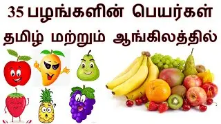 Learn 35 Fruits Names in Tamil & English  | பழங்களின் பெயர் தமிழ் & ஆங்கிலத்தில் | Learn Fruit Name.