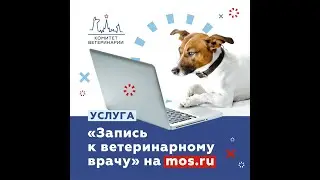 Как записать питомца в ветклинику на mos.ru | 