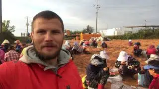 Корея 2018 . Октябрь , Сбор когумы .
