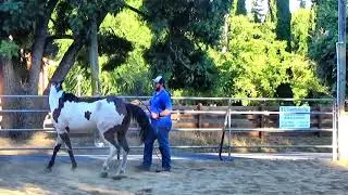 Developing the sidepass on the rail