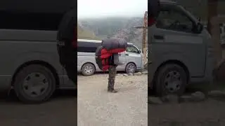 Редкие летающие животные - отряд рукокрылые