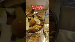 Грибы пошли