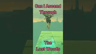 Can I use Ascend to get out of the Lost Woods Barrier? #totkgameplay #totkglitches #zelda