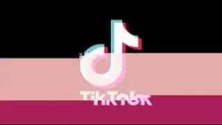 Pakistani Tiktokers Videos